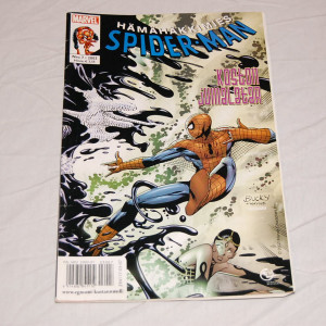 Hämähäkkimies 07 - 2003